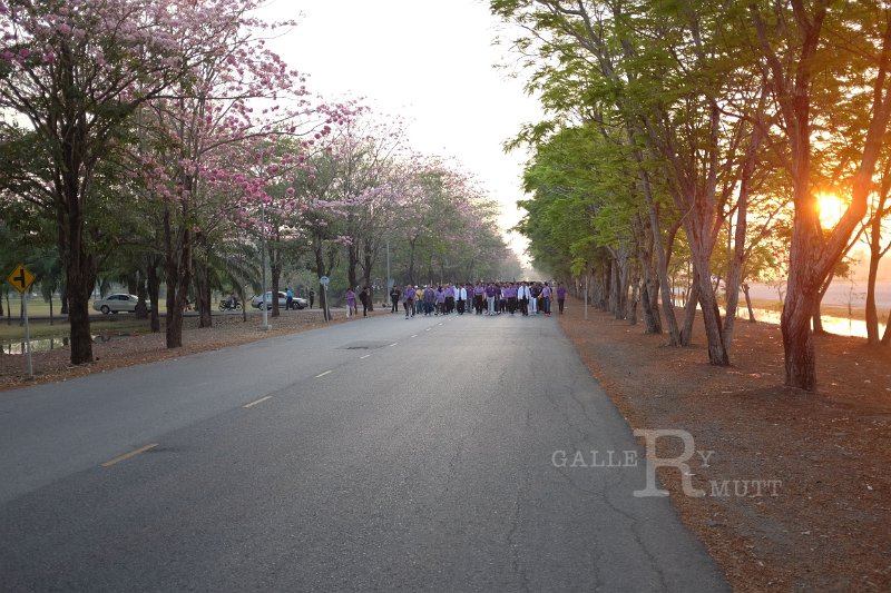 20150210-370.JPG