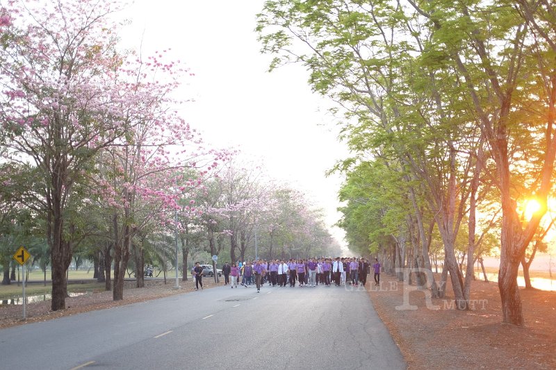 20150210-371.JPG