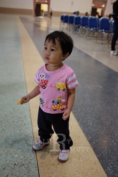 20150210-386.JPG