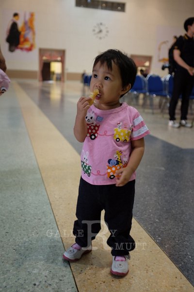 20150210-387.JPG