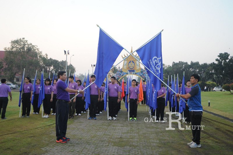 PRO_1250.JPG