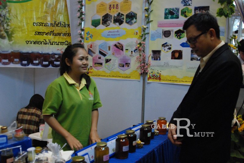 DSC_1348.JPG - ARIT(PRODUCTION)