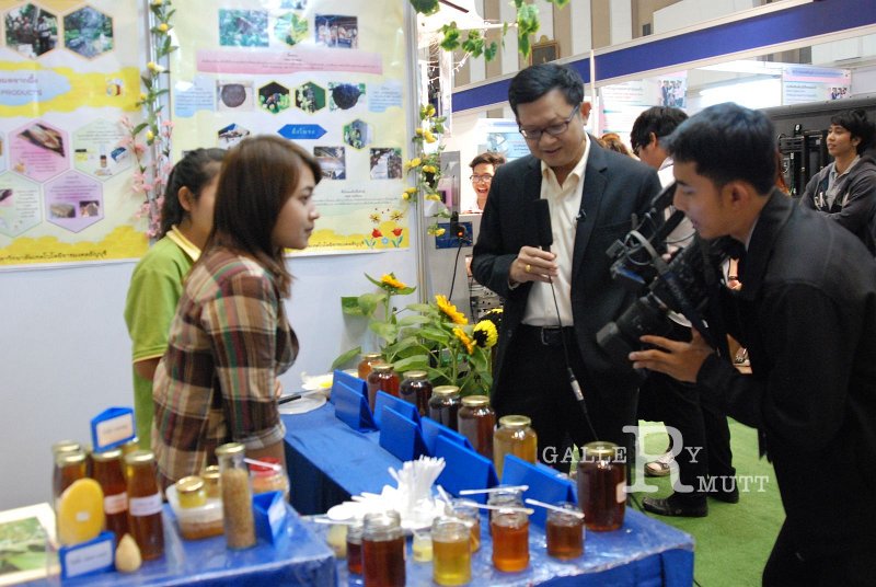 DSC_1350.JPG - ARIT(PRODUCTION)