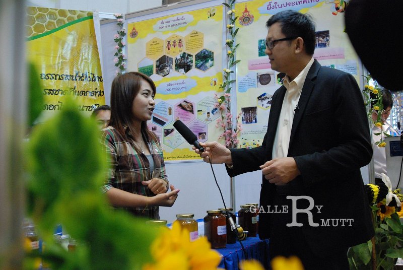 DSC_1358.JPG - ARIT(PRODUCTION)
