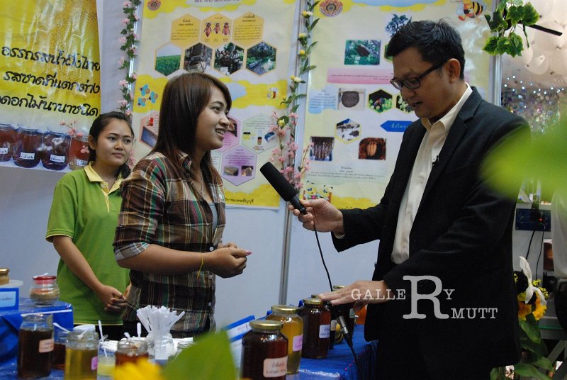 DSC_1359.JPG - ARIT(PRODUCTION)