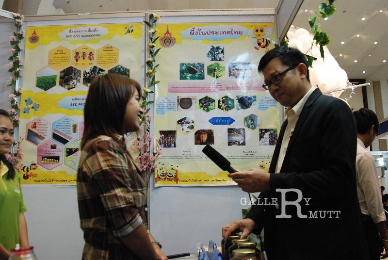 DSC_1371.JPG - ARIT(PRODUCTION)