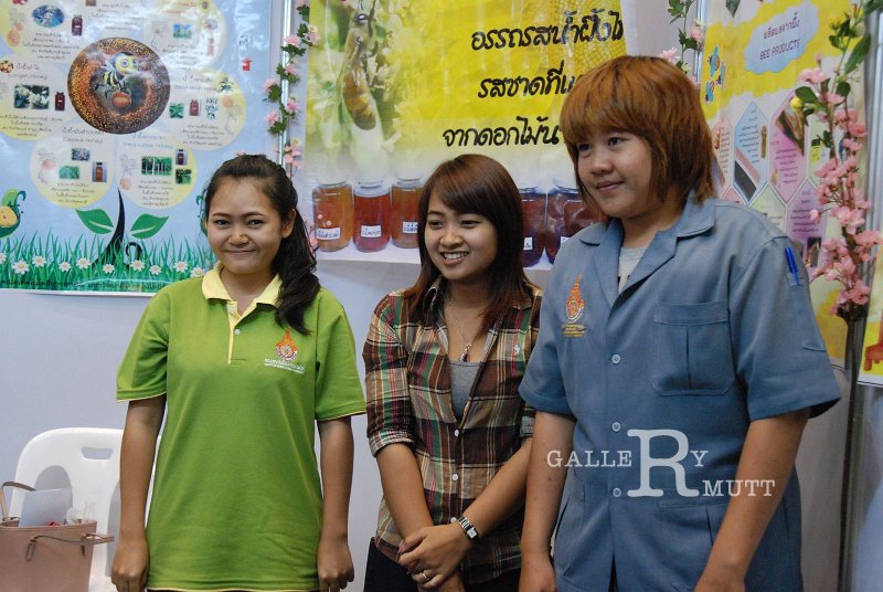 DSC_1381.JPG - ARIT(PRODUCTION)