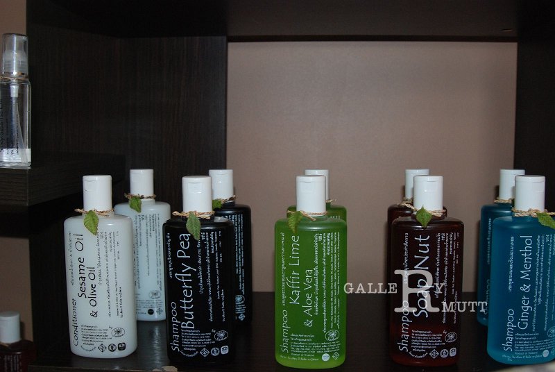 DSC_2229.JPG - ARIT(PRODUCTION)
