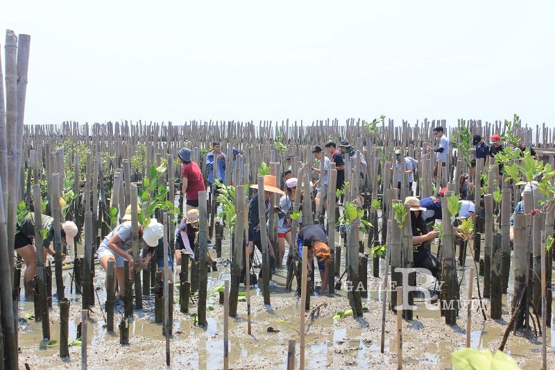 20150329khokkham_107.jpg