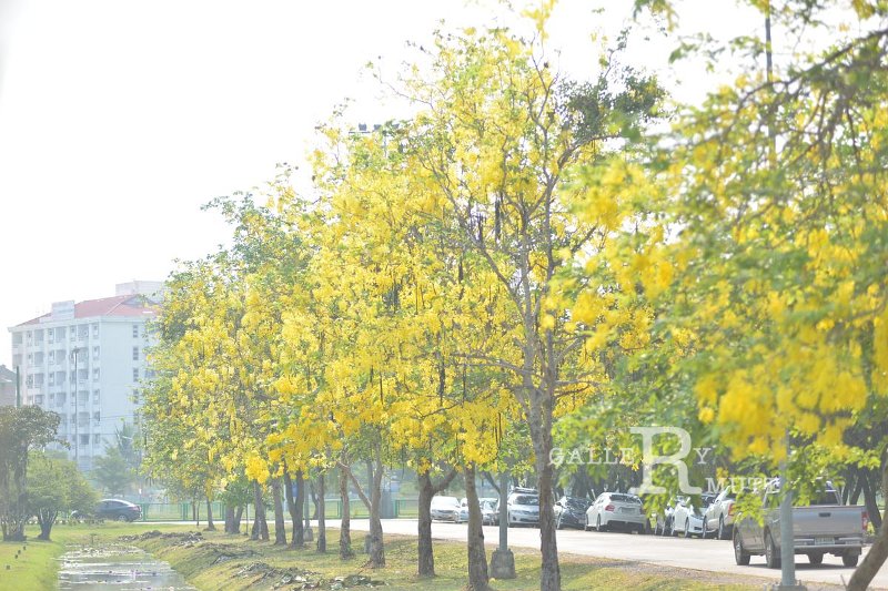 20150409-01_pr-100.JPG