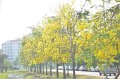 20150409-01_pr-100