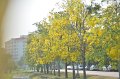 20150409-01_pr-101