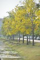 20150409-01_pr-102