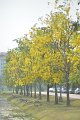 20150409-01_pr-103