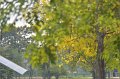 20150409-01_pr-104