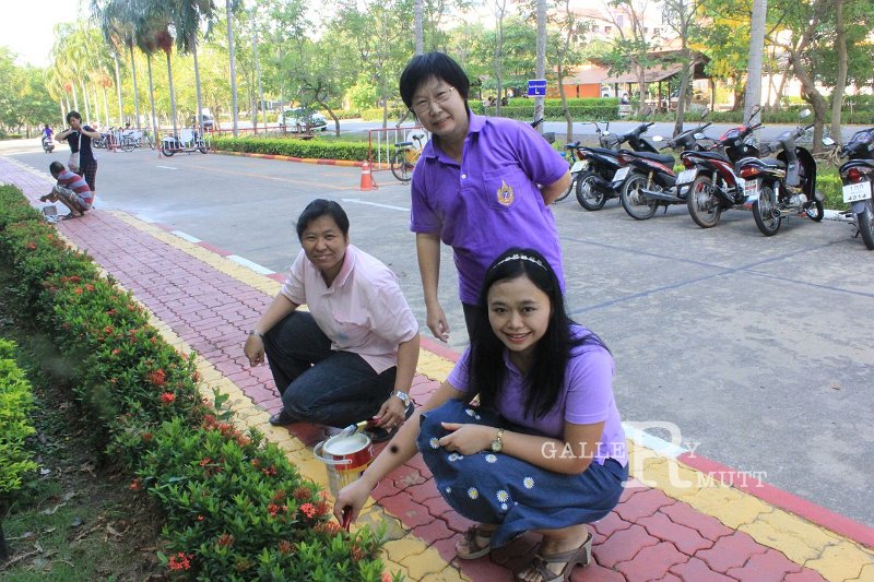 20150419sci_03.jpg