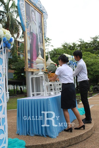 20150811-01_agr-56.JPG