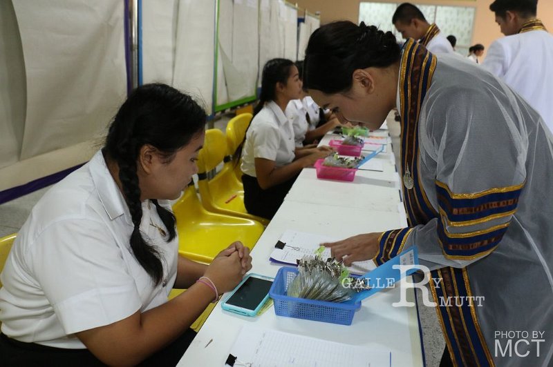 20160903-MCT-AM01-126.jpg