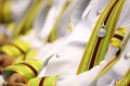 20160905-MCT-PM01-101