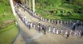 20160906-ARIT-AM01-043