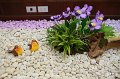 20160907-MCT-AM01-032