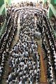 20160907-MCT-PM02-046