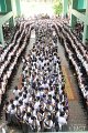 20160907-MCT-PM02-112