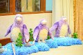 20160908-PR02-PM-0166