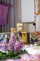 20160908-PR02-Princess-042