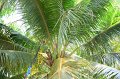 20160129-pr-032