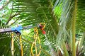 20160129-pr-065