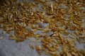 20160223-pr-02-035