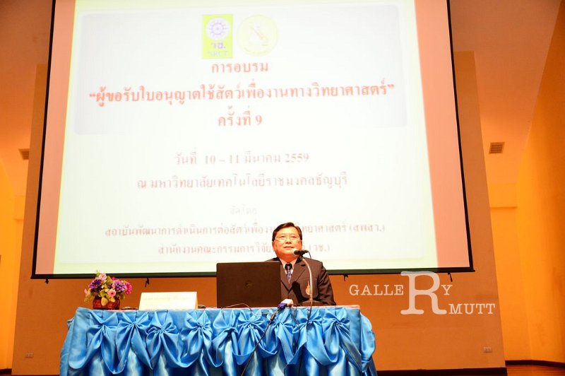 20160310-PR4461.JPG - RmUtt