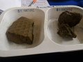 20160405-SCI024