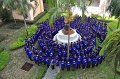 20160731PR01-1235