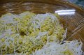 20170320gradua-PR04-028