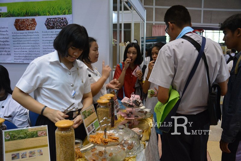 20170118-arit01-am93.JPG - open house 60