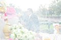 20170123RT01-058