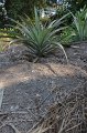 20170210RT01-178