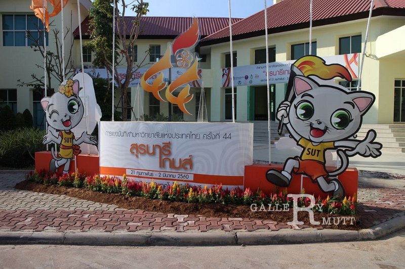 20170302PR01_264.JPG