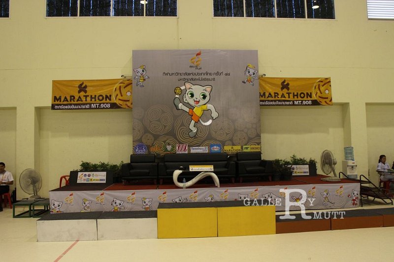 20170302PR01_276.JPG
