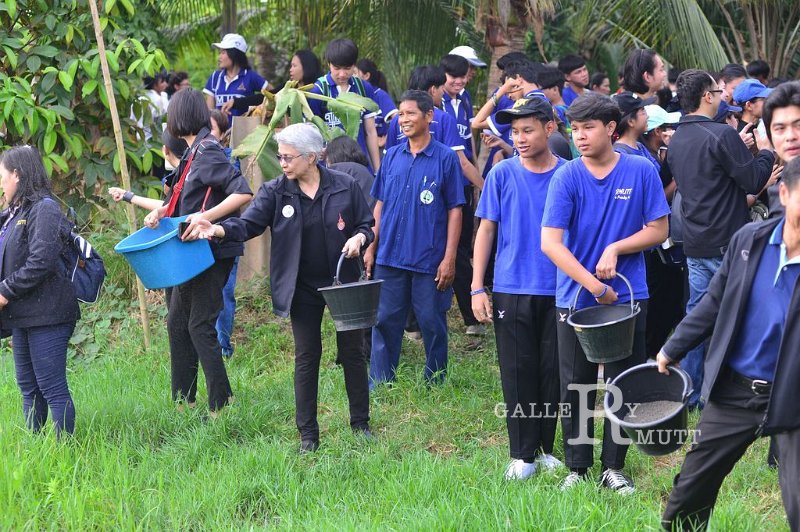 20170330PR02_082.JPG - RmUtt