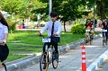 20170822-pun-lod-ron-78