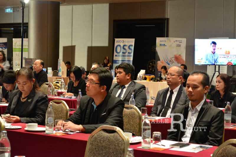 20170928-SMEs_Strong-50.jpg
