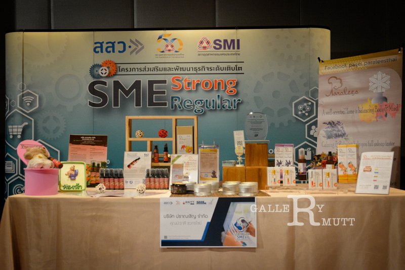 20170928-SMEs_Strong-88.jpg