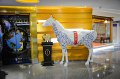 20171005-Macao-14