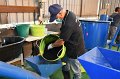 20180207-Development-of-charcoal-production-process-068