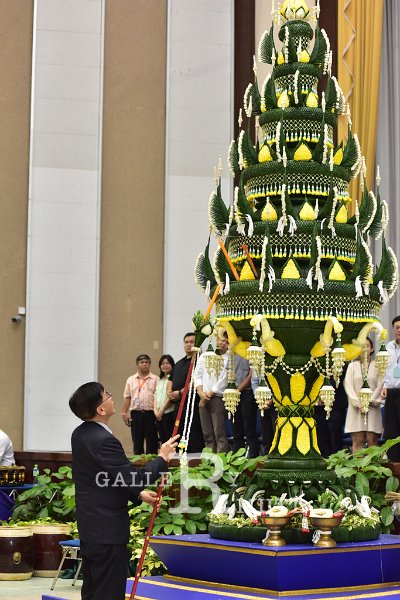 20180613PR01-195.JPG