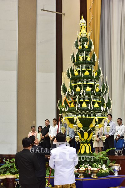 20180613PR01-196.JPG