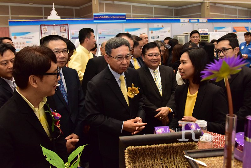 ชมผลงาน2.jpg